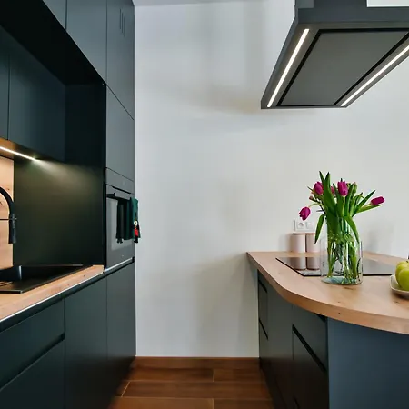 Apartamenty Laguna Beskidow - A2 Zarzecze  Zewnętrze zdjęcie
