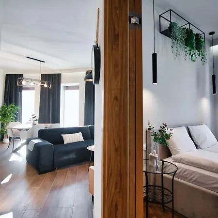 Apartamenty Laguna Beskidow - A2 Zarzecze  Zewnętrze zdjęcie
