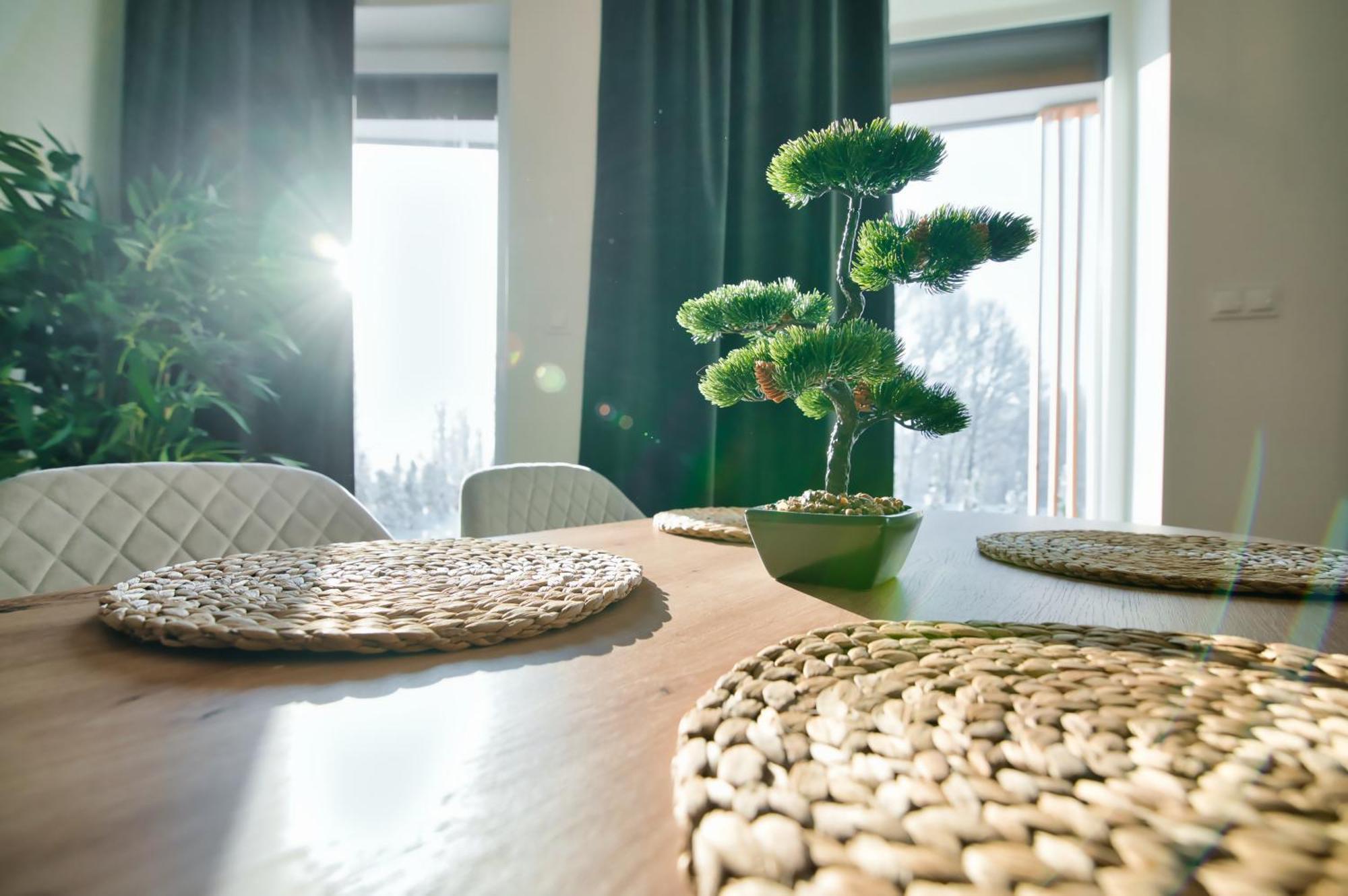 Apartment Laguna Beskidow - A2 *